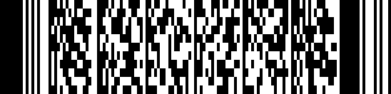 PDF417 ke stažení barcode example